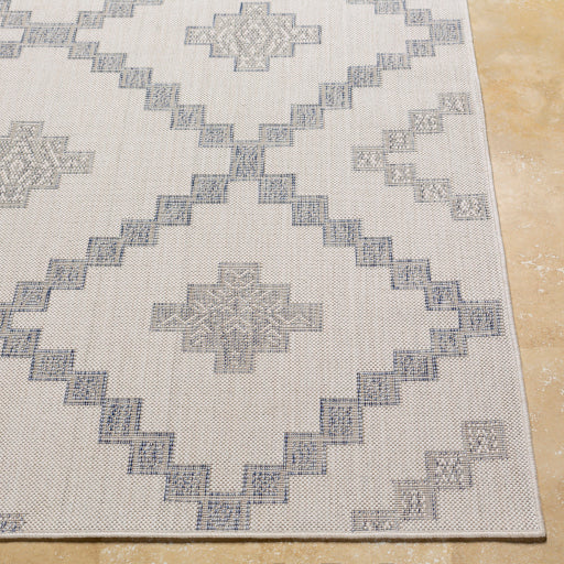 Surya Tuareg TRG-2324 Off-White Rustic  Rug