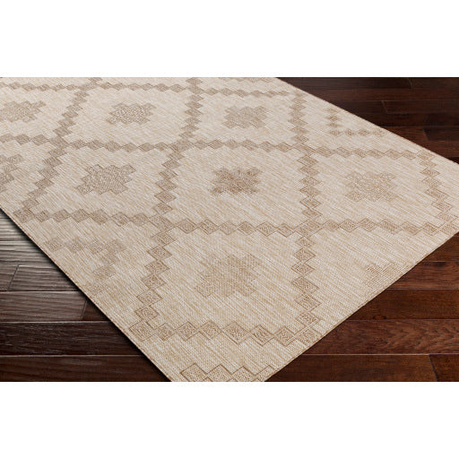 Surya Tuareg TRG-2325 Off-White Rustic  Rug