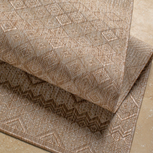 Surya Tuareg TRG-2326 Light Beige Global  Rug