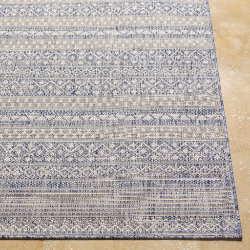Surya Tuareg TRG-2329 Pale Blue Global  Rug