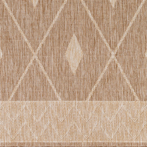 Surya Tuareg TRG-2335 Tan Global  Rug