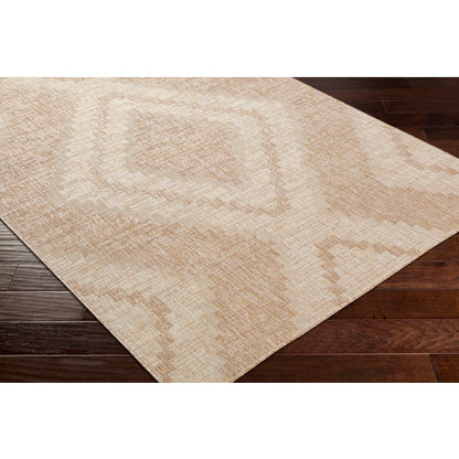 Surya Tuareg TRG-2336 Light Beige Rustic  Rug