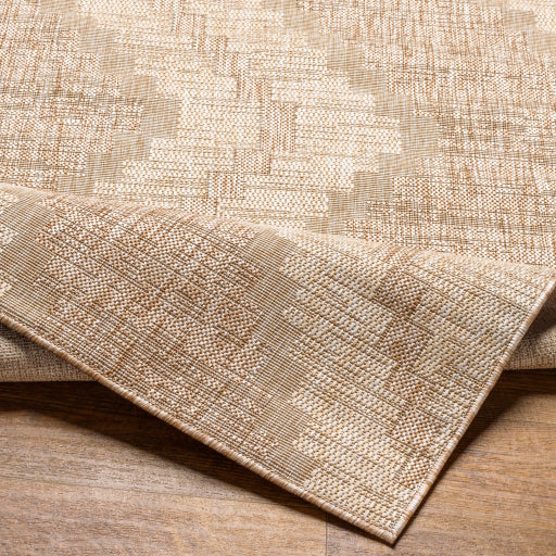 Surya Tuareg TRG-2336 Light Beige Rustic  Rug