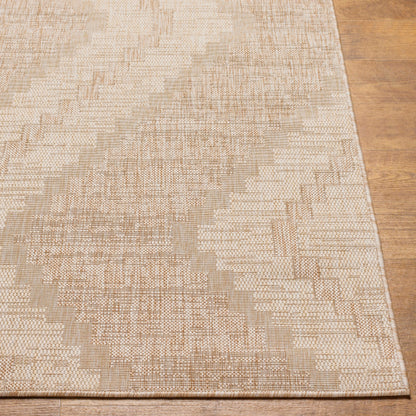 Surya Tuareg TRG-2336 Light Beige Rustic  Rug