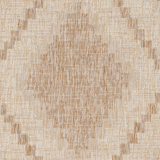 Surya Tuareg TRG-2336 Light Beige Rustic  Rug