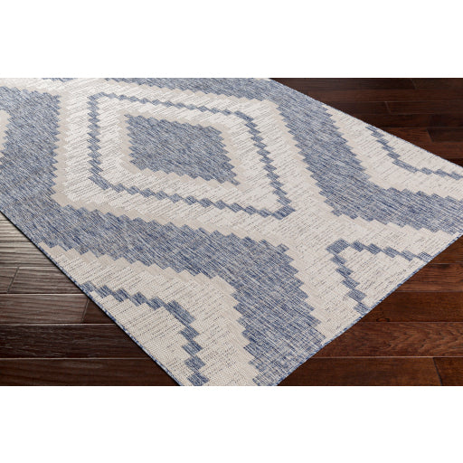 Surya Tuareg TRG-2337 Pale Blue Rustic  Rug