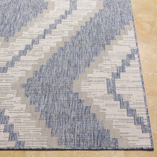 Surya Tuareg TRG-2337 Pale Blue Rustic  Rug