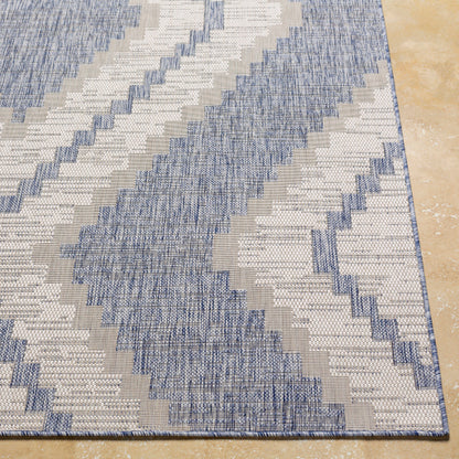 Surya Tuareg TRG-2337 Pale Blue Rustic  Rug