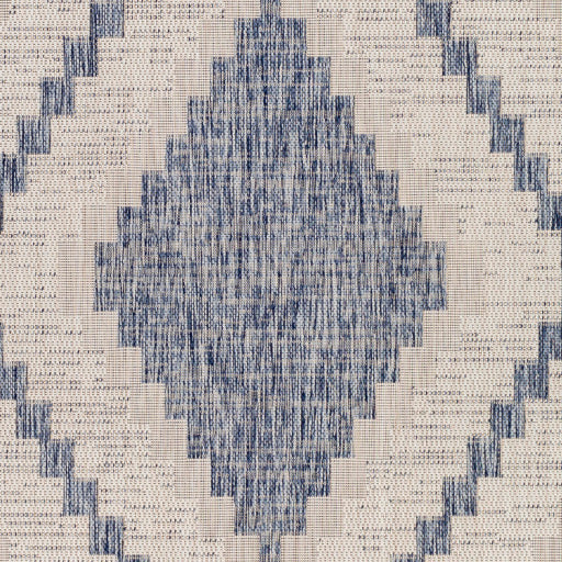 Surya Tuareg TRG-2337 Pale Blue Rustic  Rug