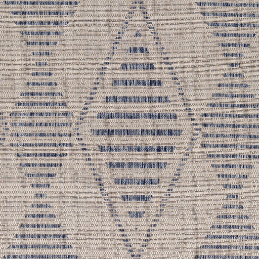 Surya Tuareg TRG-2349 Cream Global  Rug