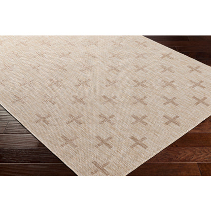 Surya Tuareg TRG-2357 Tan Global  Rug