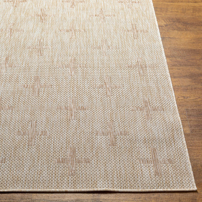 Surya Tuareg TRG-2357 Tan Global  Rug