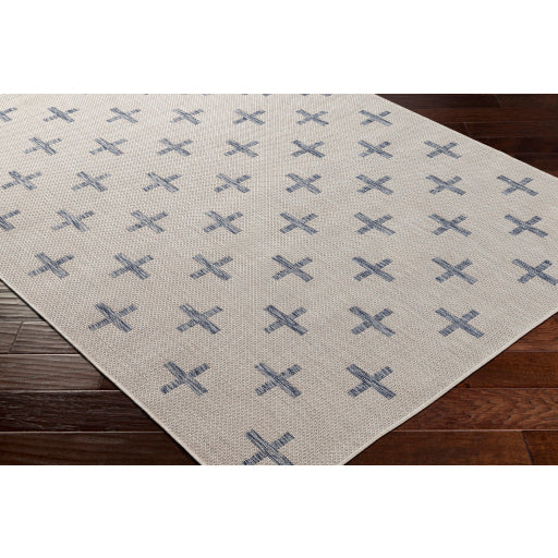 Surya Tuareg TRG-2358 Cream Global  Rug