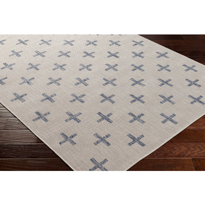 Surya Tuareg TRG-2358 Cream Global  Rug
