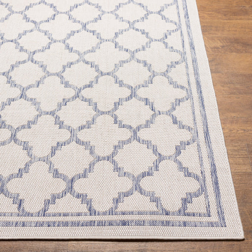 Surya Tuareg TRG-2375 Cream Traditional  Rug