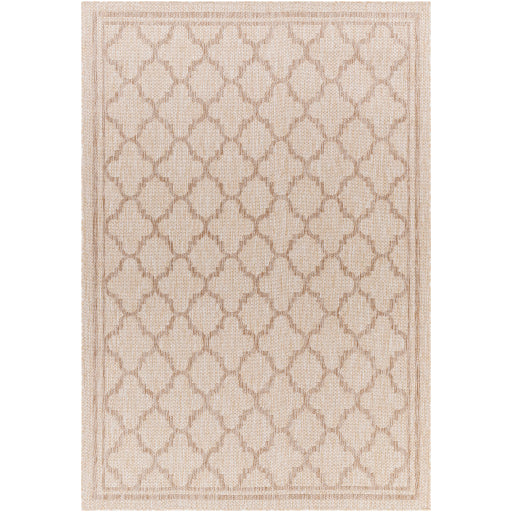 Surya Tuareg TRG-2376 Light Beige Traditional  Rug