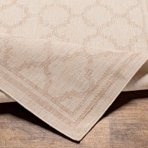 Surya Tuareg TRG-2376 Light Beige Traditional  Rug