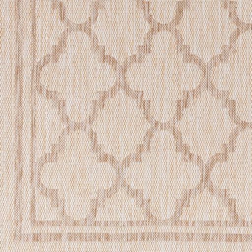 Surya Tuareg TRG-2376 Light Beige Traditional  Rug