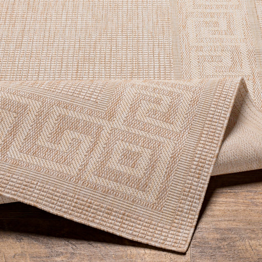 Surya Tuareg TRG-2380 Light Beige Traditional  Rug