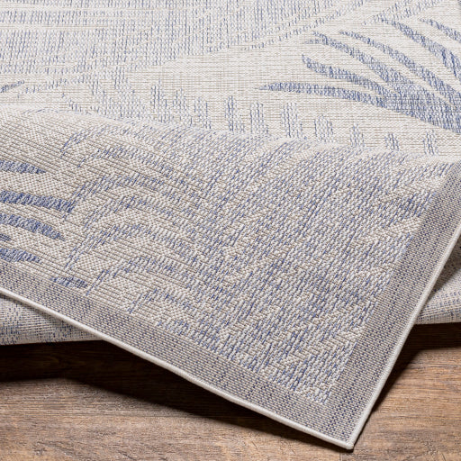 Surya Tuareg TRG-2383 Cream Coastal  Rug