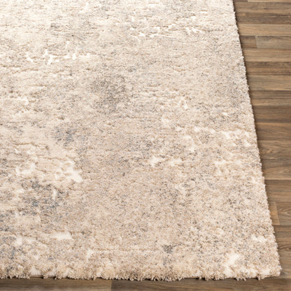 Surya Tuscany TUS-2304 Ivory Modern  Rug