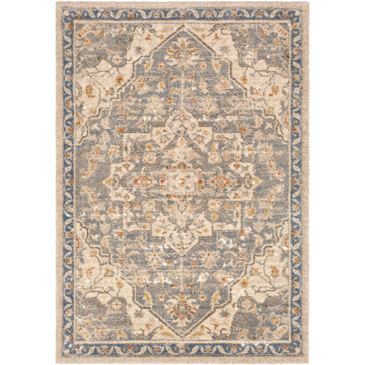 Surya Tuscany TUS-2309 Denim Traditional  Rug