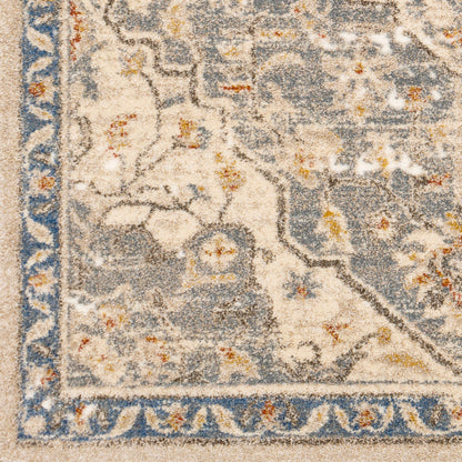 Surya Tuscany TUS-2309 Denim Traditional  Rug