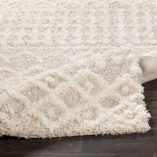 Surya Urban Shag USG-2303 Cream Global  Rug