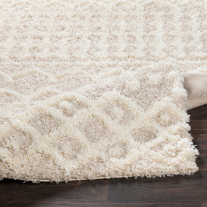 Surya Urban Shag USG-2303 Cream Global  Rug