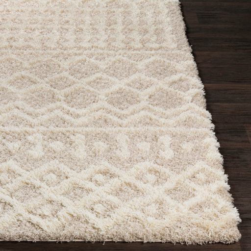 Surya Urban Shag USG-2303 Cream Global  Rug