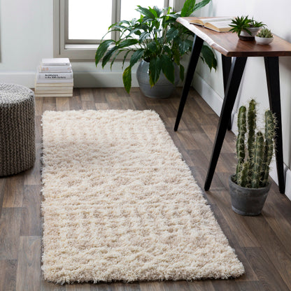 Surya Urban Shag USG-2303 Cream Global  Rug