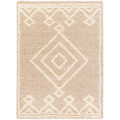 Surya Urban Shag USG-2312 Beige Modern  Rug