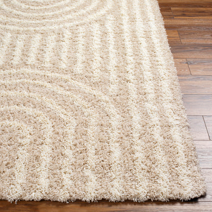 Surya Urban Shag USG-2315 Beige Global  Rug