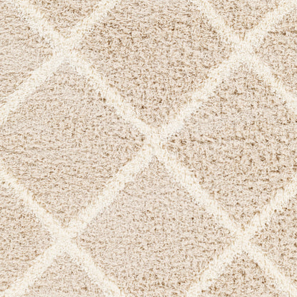 Surya Urban Shag USG-2319 Beige Cottage  Rug