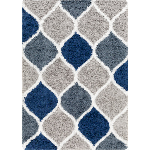 Surya Urban Shag USG-2321 Light Gray Cottage  Rug