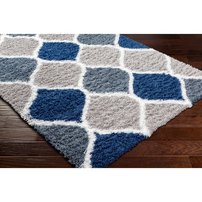 Surya Urban Shag USG-2321 Light Gray Cottage  Rug