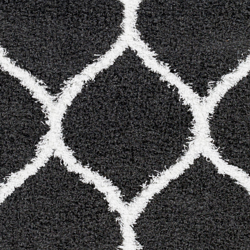 Surya Urban Shag USG-2322 Black Cottage  Rug
