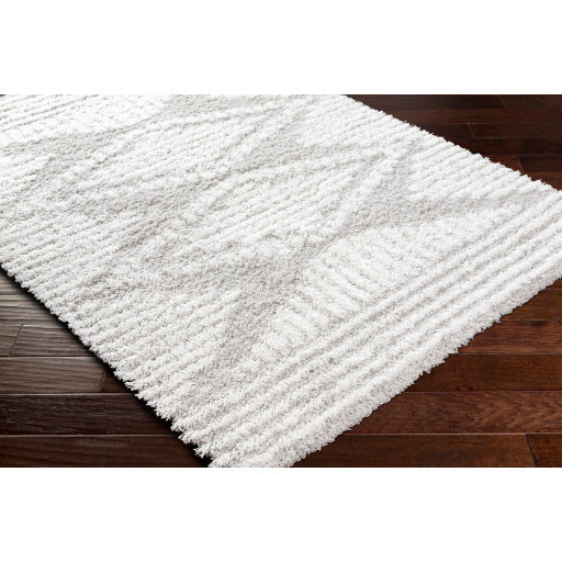 Surya Urban Shag USG-2325 Light Gray Global  Rug