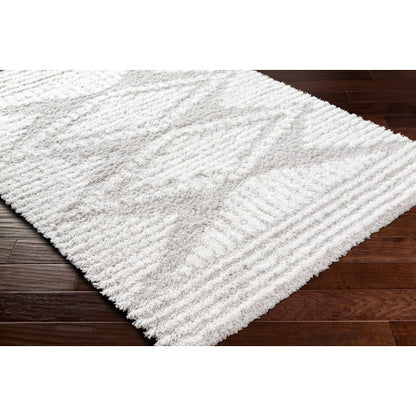 Surya Urban Shag USG-2325 Light Gray Global  Rug