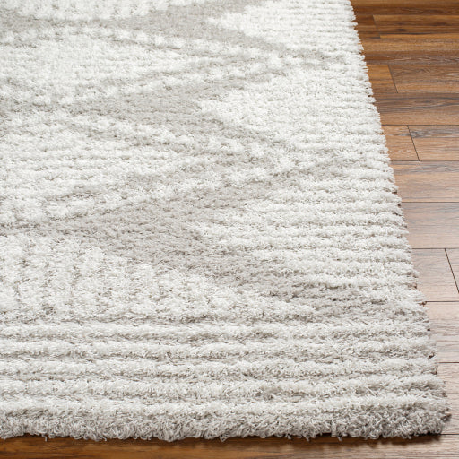 Surya Urban Shag USG-2325 Light Gray Global  Rug