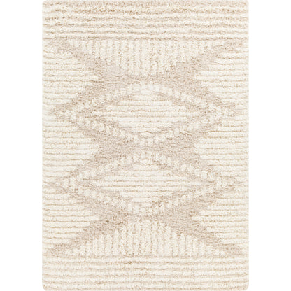 Surya Urban Shag USG-2326 Beige Global  Rug