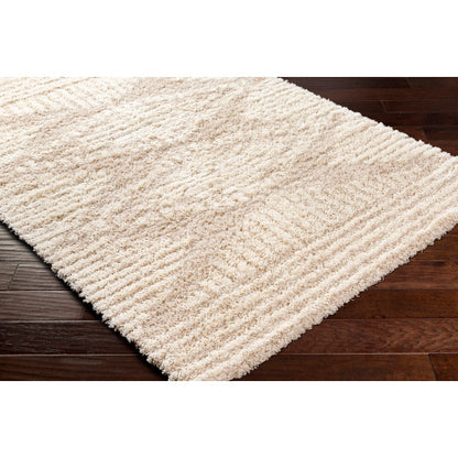 Surya Urban Shag USG-2326 Beige Global  Rug