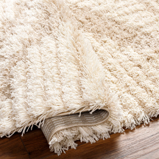 Surya Urban Shag USG-2326 Beige Global  Rug