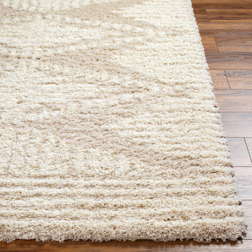 Surya Urban Shag USG-2326 Beige Global  Rug