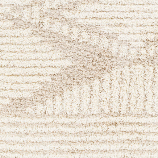 Surya Urban Shag USG-2326 Beige Global  Rug
