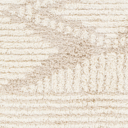 Surya Urban Shag USG-2326 Beige Global  Rug