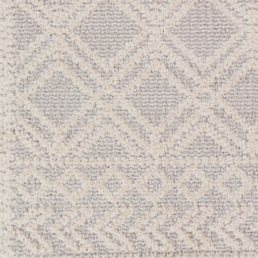 Surya Valencia VLC-2315 Medium Gray Global  Rug