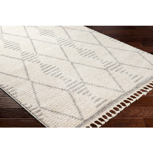 Surya Valencia VLC-2318 Cream Global  Rug