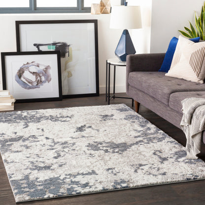 Surya Venice VNE-2300 Denim Modern  Rug