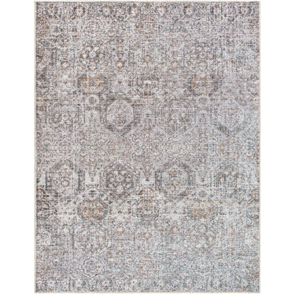 Surya Vinny VNY-2309 Light Gray Traditional  Rug